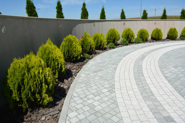 Reasons to Select Us for Your Driveway Paving Requirements in Fern Prairie, WA